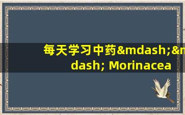 每天学习中药—— Morinaceae